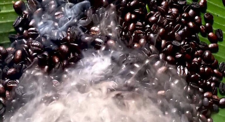 Village Flavors : Café, cuisine et contes de fées Tanzanie — #16