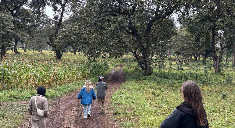 Village Flavors : Café, cuisine et contes de fées Tanzanie — #19