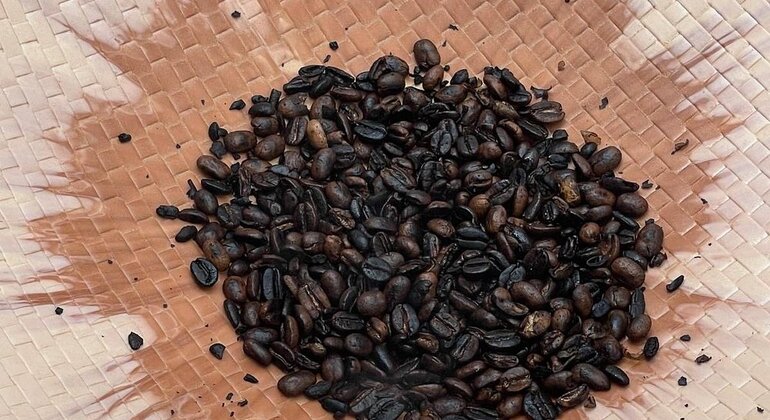 Village Flavors : Café, cuisine et contes de fées Tanzanie — #21