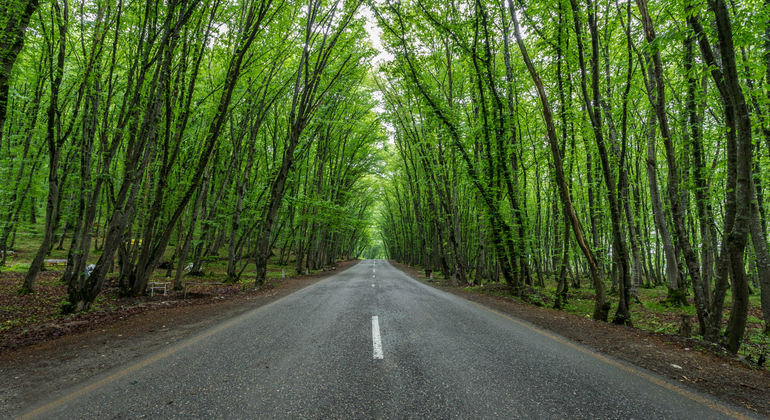 Viaggio magico sui monti Guba e Shahdag Azerbaigian — #6
