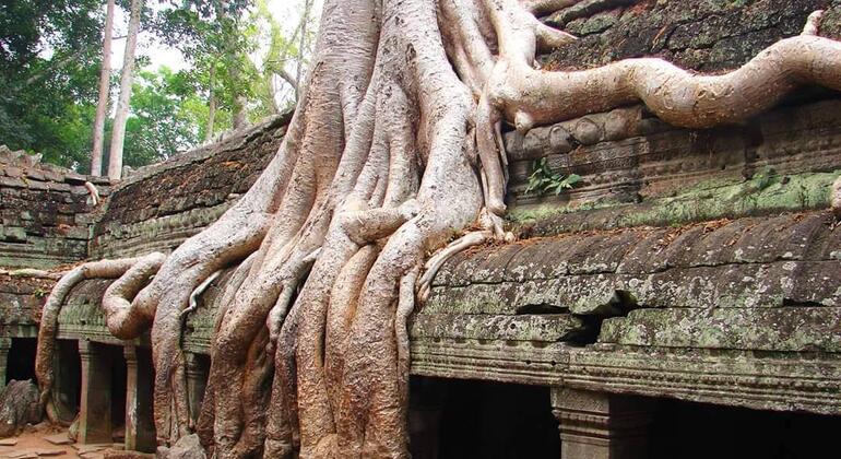 Excursão de um dia ao nascer do sol e aos templos de Angkor Wat Camboja — #14