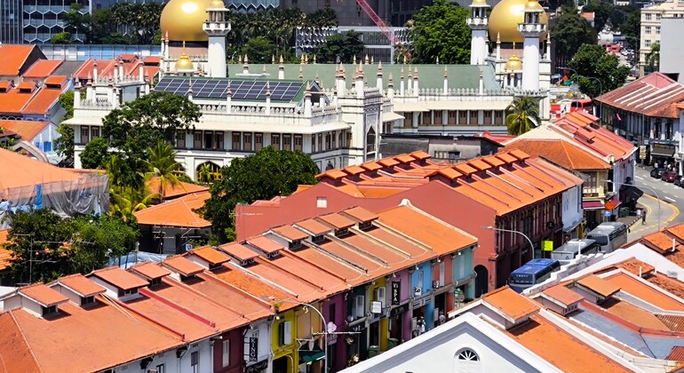 kampong-glam-free-tour-singapore-es-3