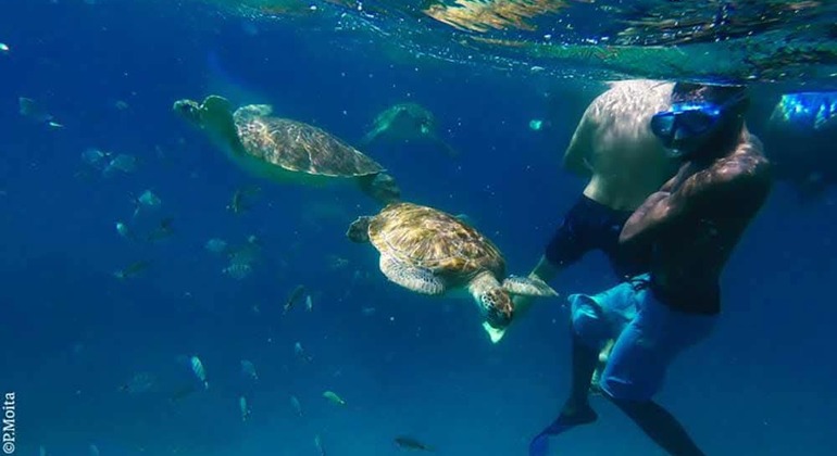 Experiencia de snorkel con tortugas en Sao Pedro en são vicente Operado por Angelino Pires Delgado
