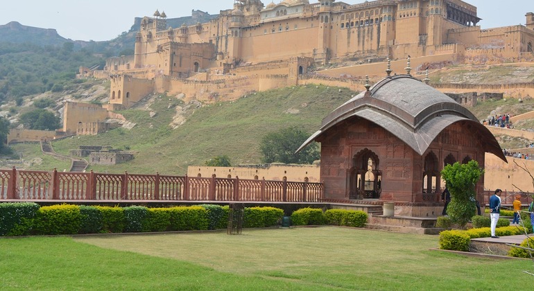 Jaipur Private Day Tour with Local Guide Provided by Abhishek Shekhawat