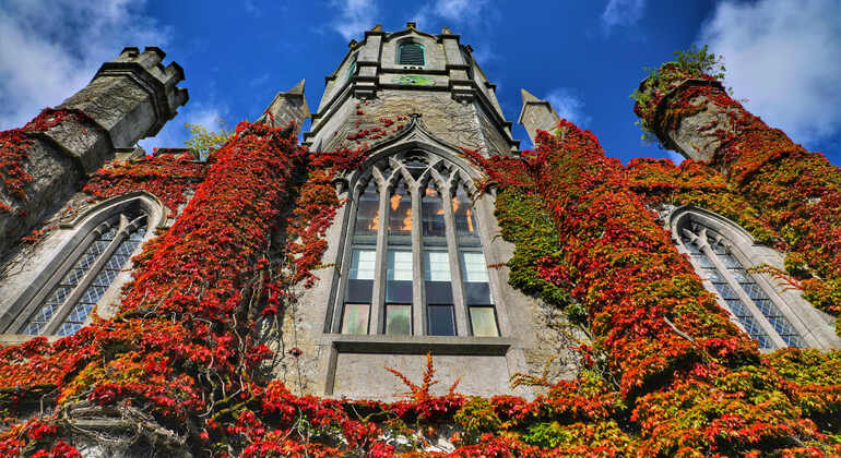 Free Tour of Galway: Colors, Legends and Irish Life Provided by Candela's Guided Tours