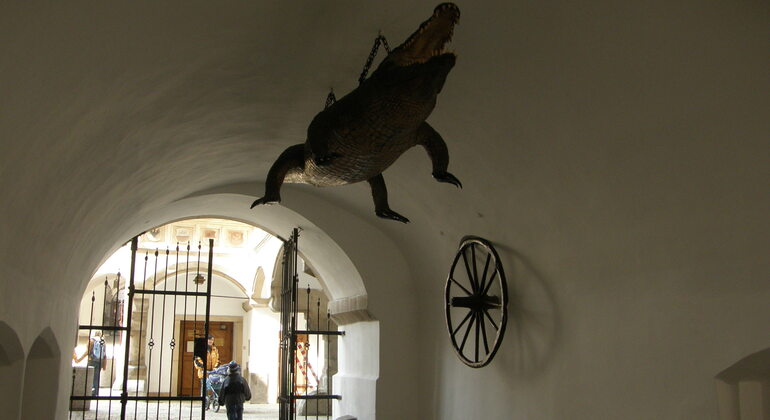 Bem-vindo ao Brno Free Tour Chéquia — #2