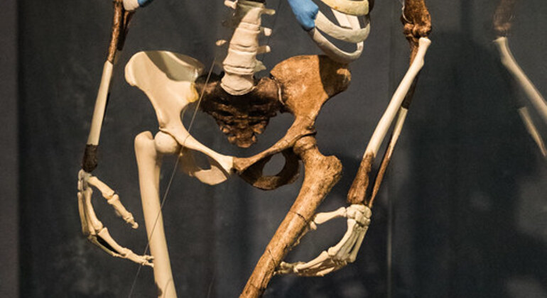 Mercato Market & National Museum Free Tour with Coffee Tasting Ethiopia — #8