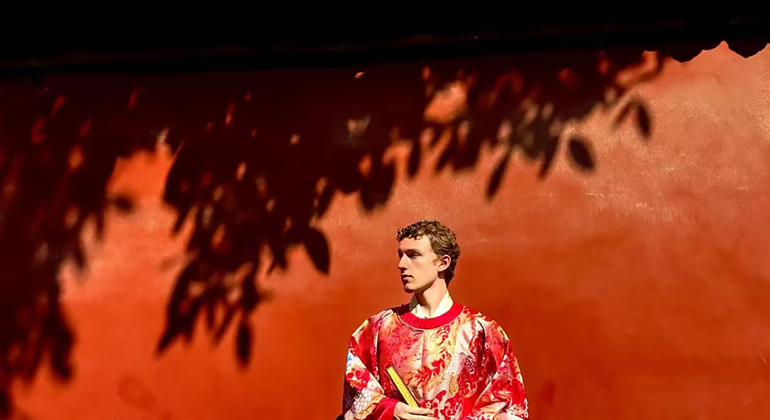 Tour di mezza giornata della Città Proibita di Pechino con il Museo del Tesoro Reale Cina — #4