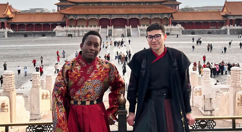 Tour di mezza giornata della Città Proibita di Pechino con il Museo del Tesoro Reale Cina — #6