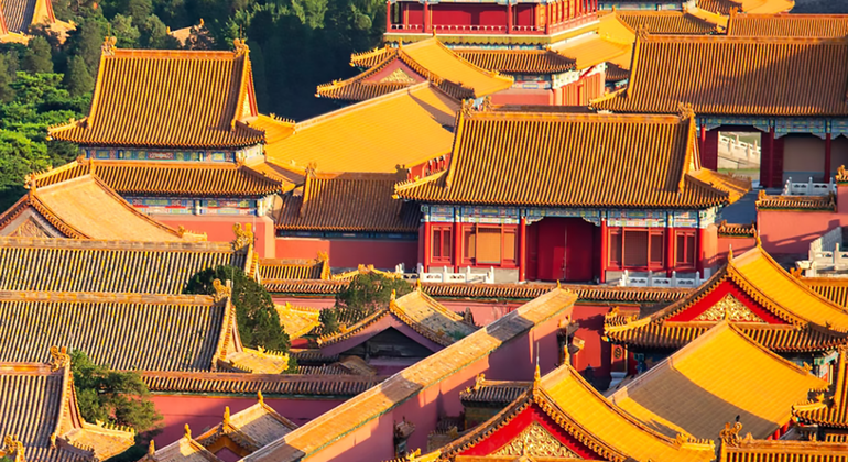 Tour di mezza giornata della Città Proibita di Pechino con il Museo del Tesoro Reale Cina — #9