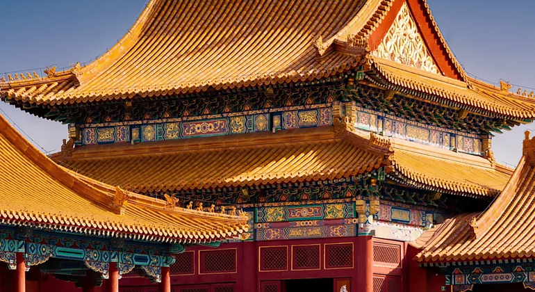 Tour di mezza giornata della Città Proibita di Pechino con il Museo del Tesoro Reale Cina — #12