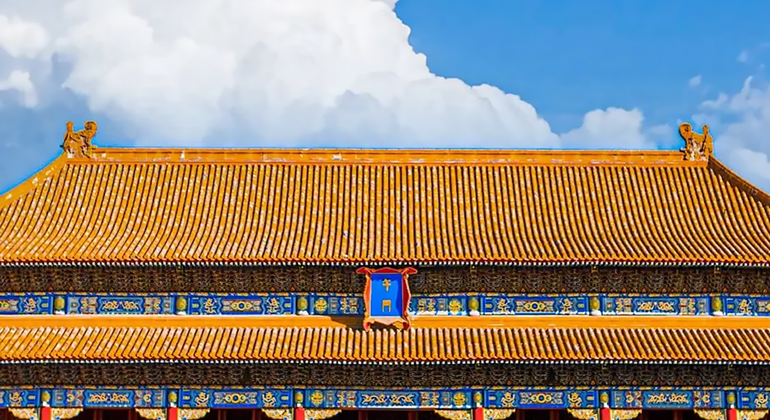 Tour di mezza giornata della Città Proibita di Pechino con il Museo del Tesoro Reale Cina — #13