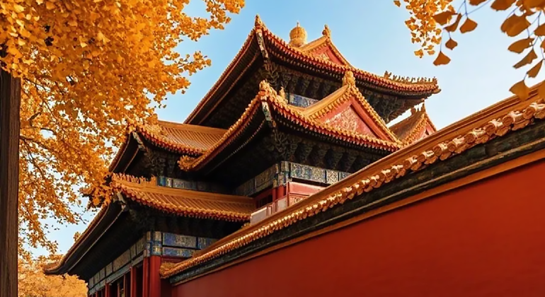 Tour di mezza giornata della Città Proibita di Pechino con il Museo del Tesoro Reale Cina — #14