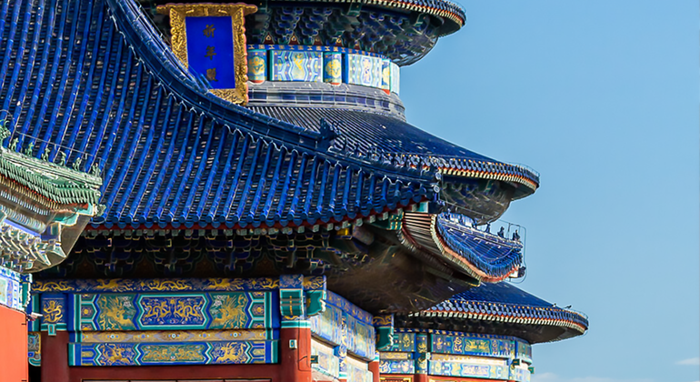 Tour di mezza giornata della Città Proibita di Pechino con il Museo del Tesoro Reale Cina — #15