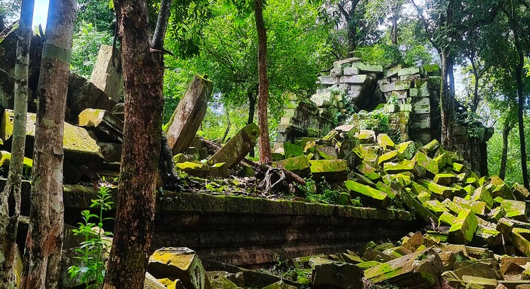 Beng Mealea & Koh Ker Day Tour Cambodia — #9