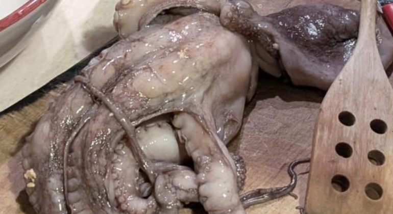 Kostenlose Tour: Traditionelles Essen in den Gassen und auf den Märkten von Neapel Italien — #5