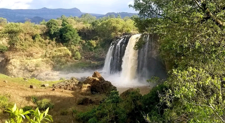 Day Tour to Debrelibanos, Blunile Gorge & Portuguese Bridge Ethiopia &mdash; #2