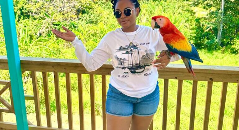 Roatan Sloths & Island Tour, Honduras