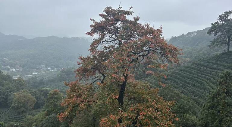 explore-faxi-longjing-jiuxi-trails-es-12