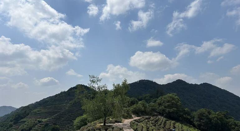 explore-faxi-longjing-jiuxi-trails-es-14