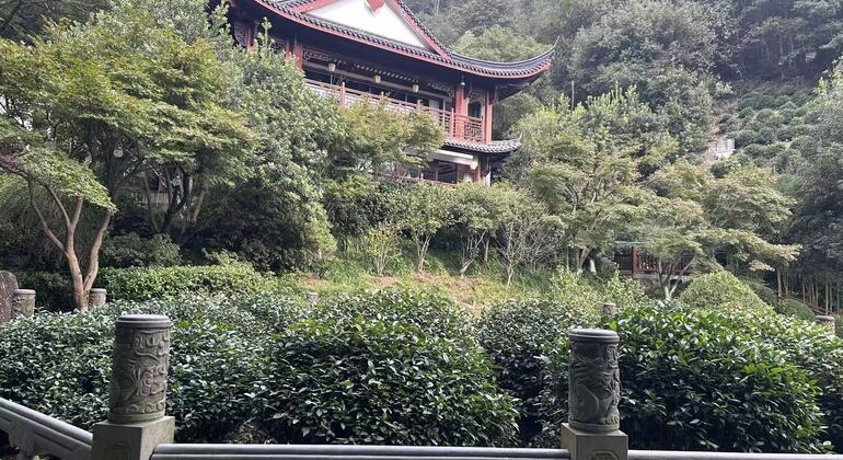 explore-faxi-longjing-jiuxi-trails-es-18