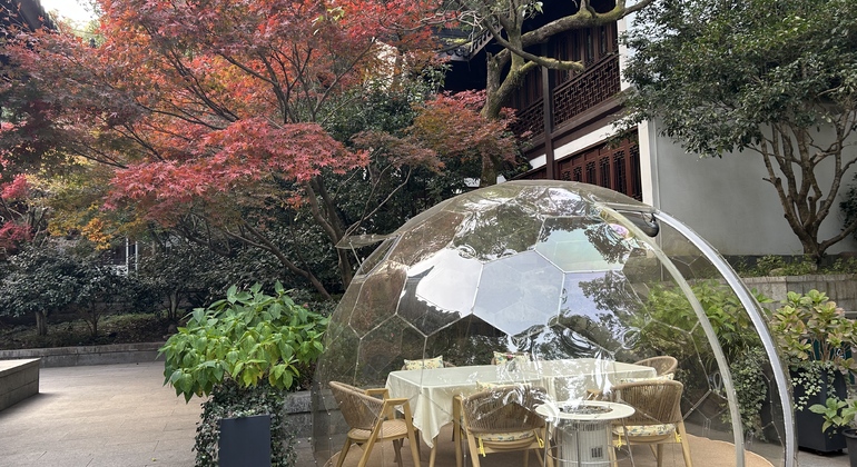 Hangzhou Free Tour: Explorar el Templo Faxi China — #22