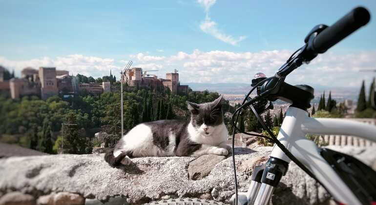 Mindfull E-Bike Tour: Descubre Granada Sobre Ruedas y con tus sentidos España — #4