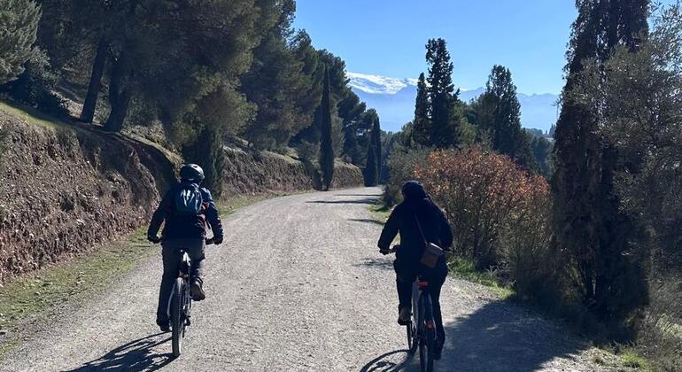 Discover Granada On Wheels on an E-Bike Spain &mdash; #5