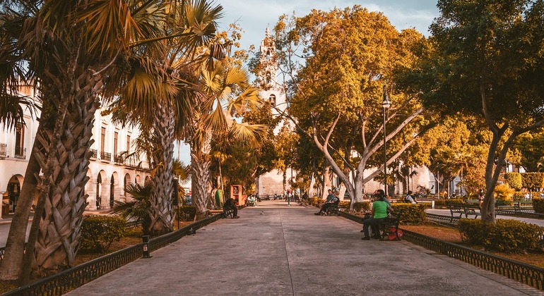 Explorer Mérida : histoire, culture et enchantement Fournie par raul escalante carrillo