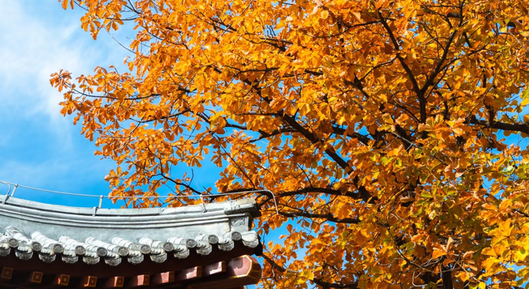 Grande Muraglia di Mutianyu: Tour di un giorno Cina &mdash; #3