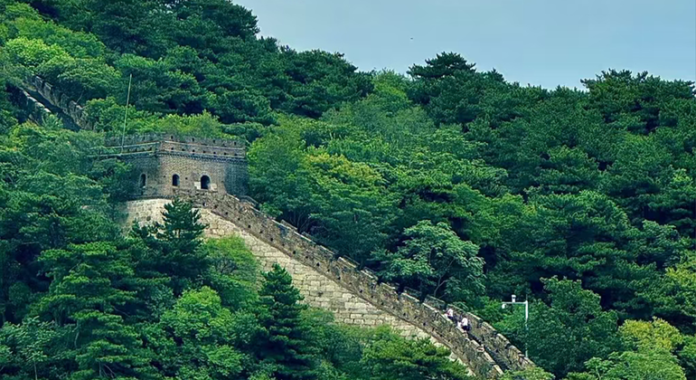 Grande Muraglia di Mutianyu: Tour di un giorno Cina &mdash; #8