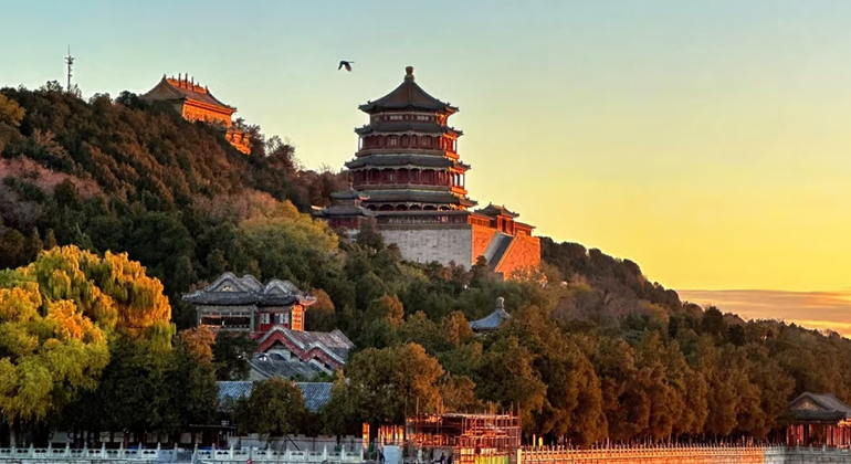 Grande Muraille de Mutianyu et Palais d'été : Visite d'une journée Chine — #9