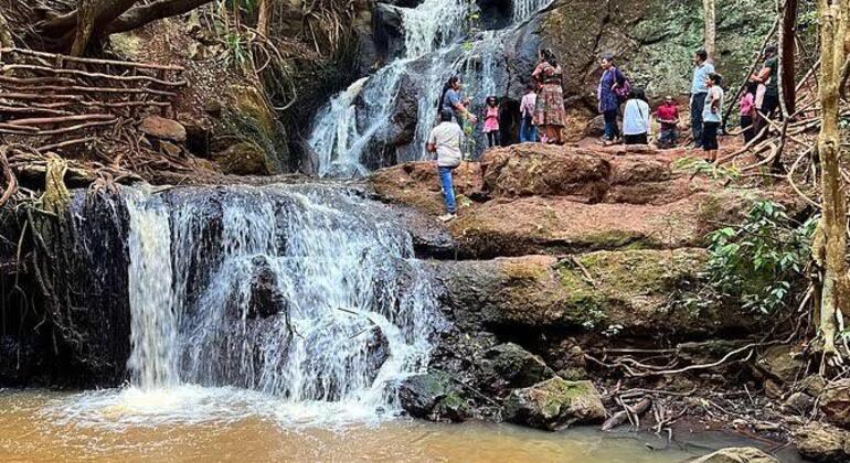Karura-Wald: Spaziergang durch Nairobis Grünflächen Kenia — #2
