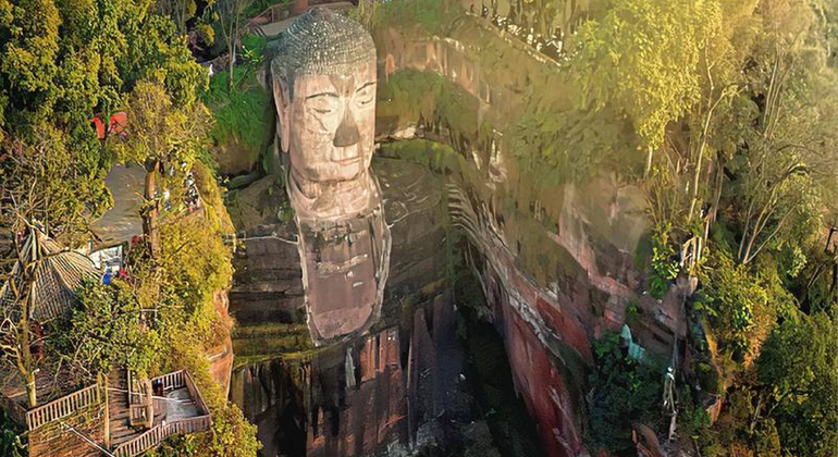 Chengdu Panda Park and Leshan Buddha Group Day Tour China &mdash; #2