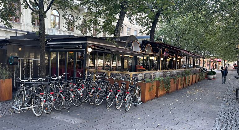 stockholm-guided-bike-tour-es-4