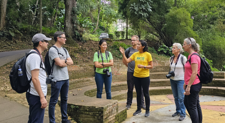 Walking Free Tour Header Provided by Rios Experiences