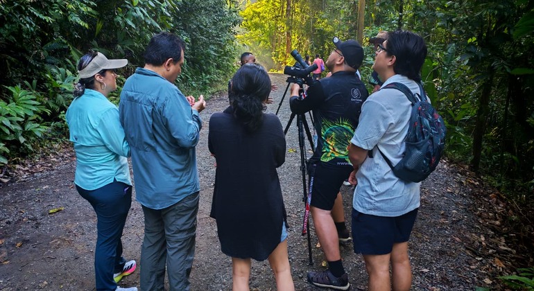 Visite guidée à pied de Manuel Antonio Costa Rica &mdash; #16