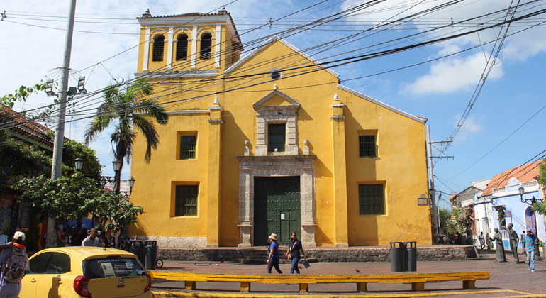 Arcoíris: Explora la Diversidad con tu Mejor Amigo de Cuatro Patas Provided by HAYTANA AVES DE COLOMBIA