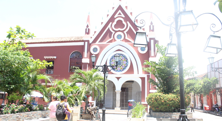 Arcoíris: Explora la Diversidad con tu Mejor Amigo de Cuatro Patas Colombia &mdash; #5