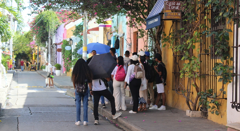 Arcoíris: Explora la Diversidad con tu Mejor Amigo de Cuatro Patas Colombia &mdash; #11