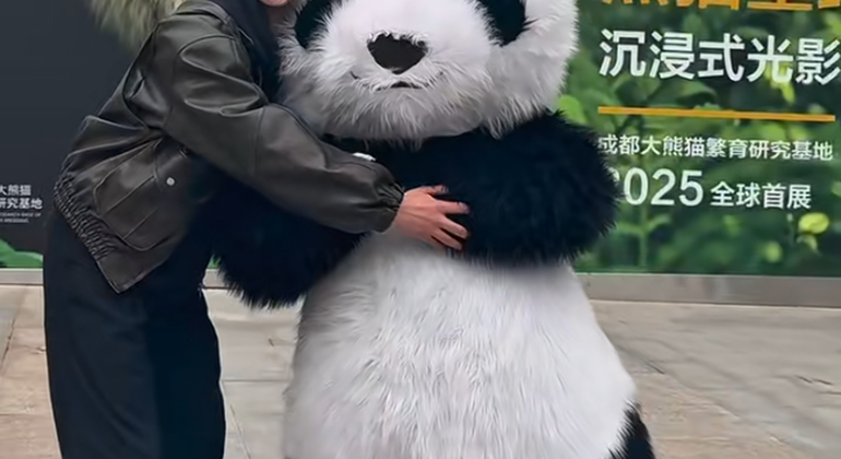 Visita de medio día a la base del panda de Chengdu China &mdash; #8