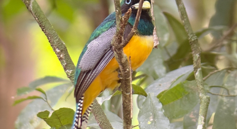 hike-see-animals-take-pictures-learn-about-manuel-antonio-en-6