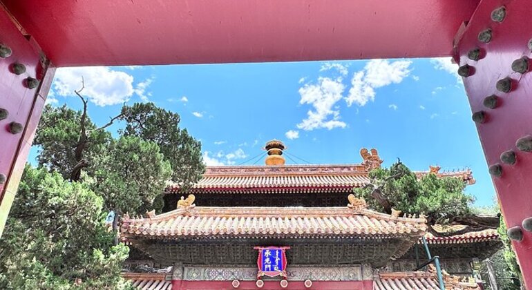 Tour fotografico e video privato alla Città Proibita Cina &mdash; #10