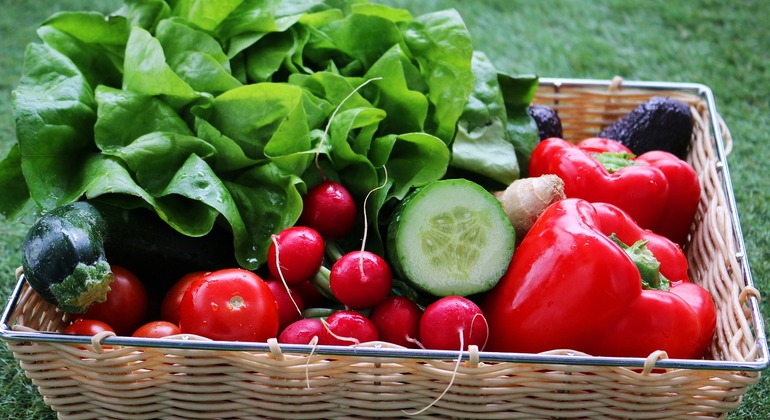 Prove Berlim: Delícias vegetarianas na Alexanderplatz Organizado por Foodprint Tours