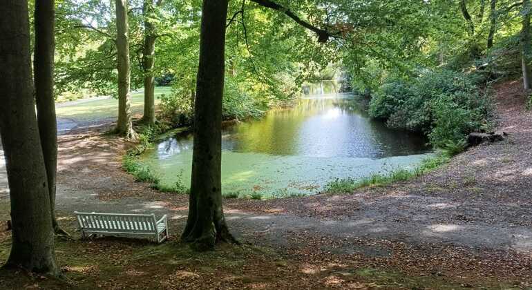 descubre-la-otra-cara-de-holanda-sobre-ruedas-en-1