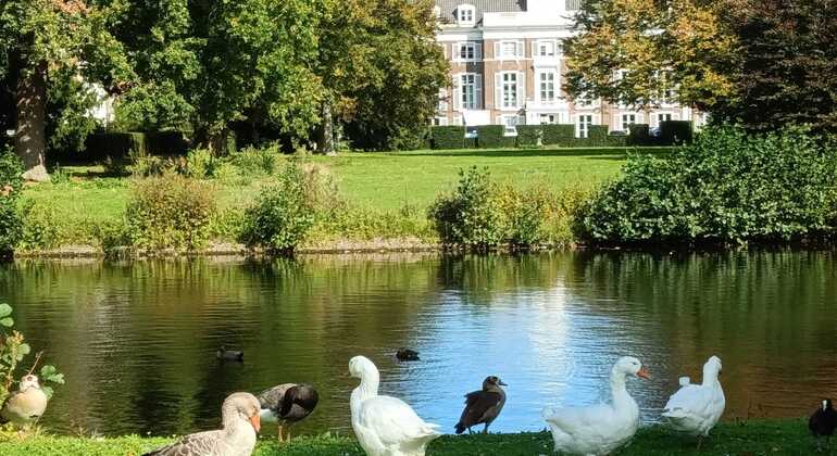 descubre-la-otra-cara-de-holanda-sobre-ruedas-en-2