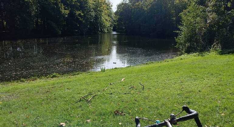 descubre-la-otra-cara-de-holanda-sobre-ruedas-en-4