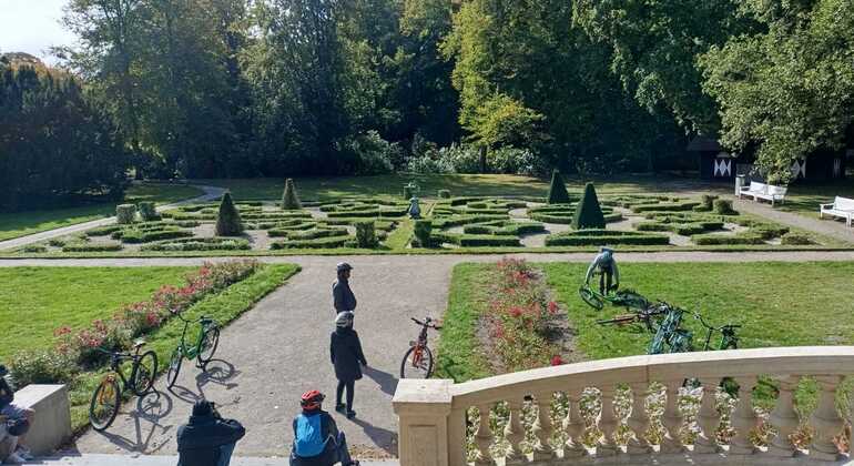 descubre-la-otra-cara-de-holanda-sobre-ruedas-en-6