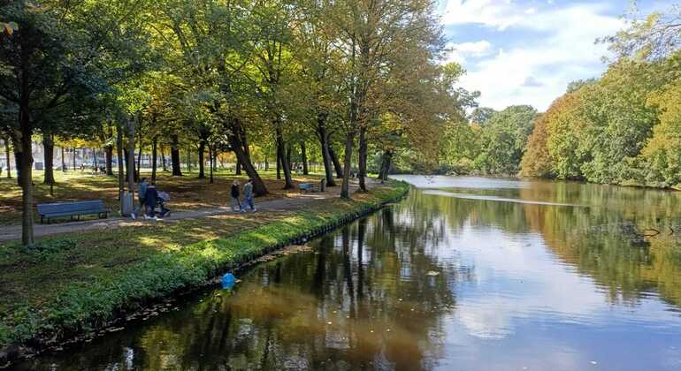 descubre-la-otra-cara-de-holanda-sobre-ruedas-en-7