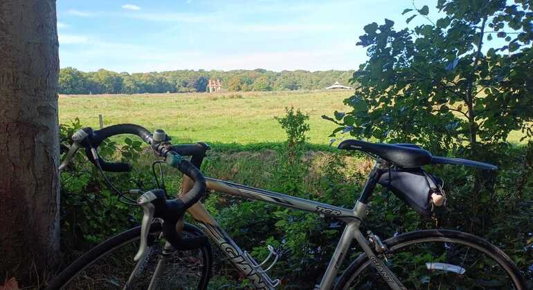 descubre-la-otra-cara-de-holanda-sobre-ruedas-en-8